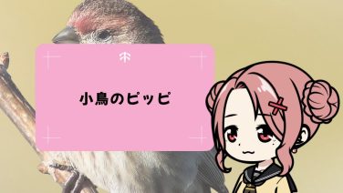 小鳥のピッピ