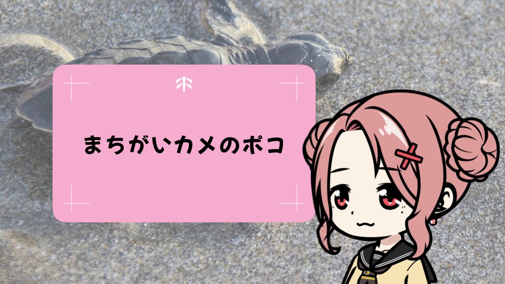 まちがいカメのポコ