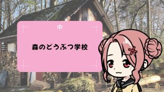 森のどうぶつ学校