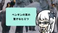 ペンギンの耳の場所はどこ？水中でも聞こえるヒミツを大公開！