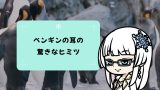 ペンギンの耳の場所はどこ?水中でも聞こえるヒミツを大公開! ペンギンの耳の場所はどこ?水中でも聞こえるヒミツを大公開!